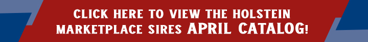 View Sire Directory Button